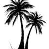 palmbeachsupply palmbeachsupply